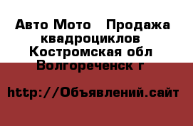Авто Мото - Продажа квадроциклов. Костромская обл.,Волгореченск г.